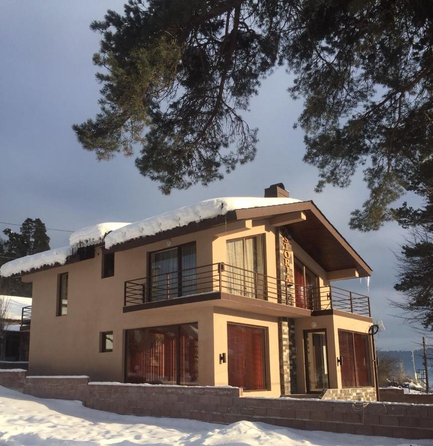 Villa Astoria 바쿠리아니 외부 사진